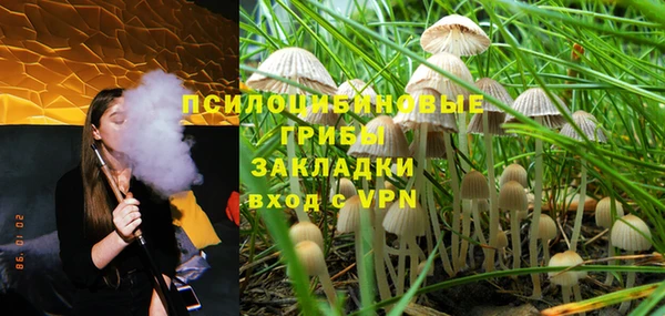 тгк Костерёво