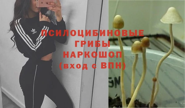 тгк Костерёво