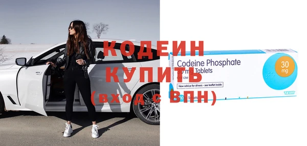 шишки Корсаков