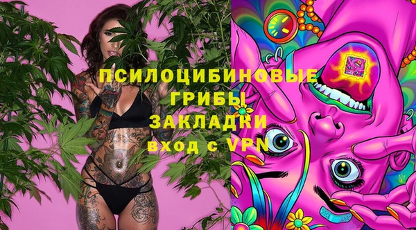 тгк Костерёво