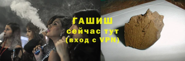 шишки Корсаков