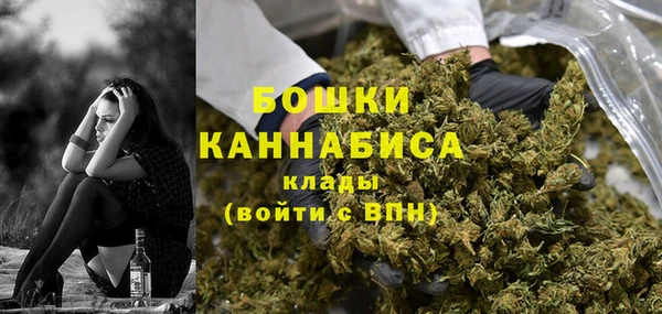 шишки Корсаков