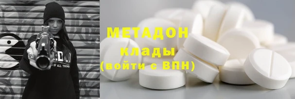 шишки Корсаков