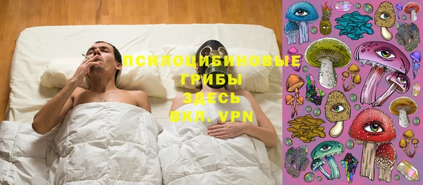 тгк Костерёво