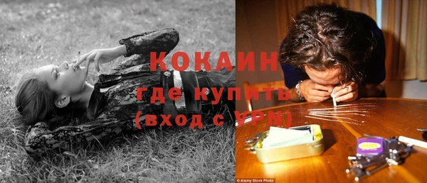 шишки Корсаков