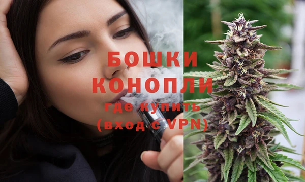 шишки Корсаков