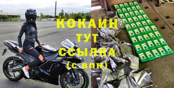 шишки Корсаков