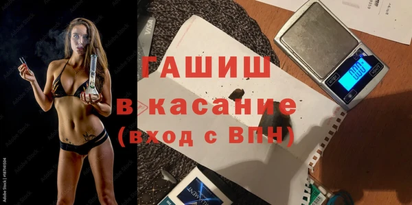 шишки Корсаков